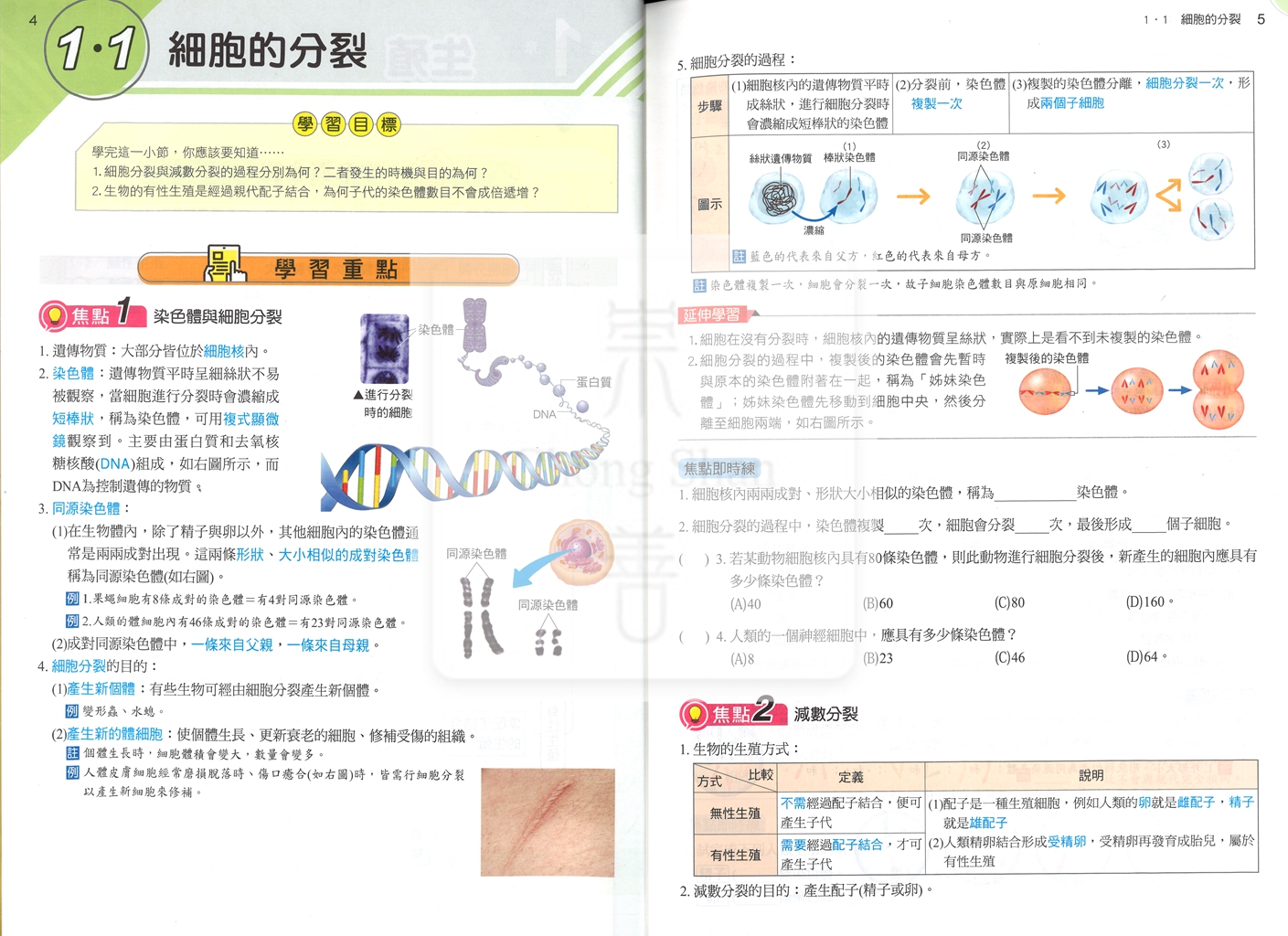 【國中114下】康軒國中學習講義 自然(2)-國一下